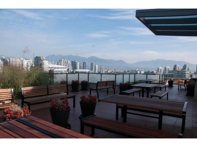 condo for rent