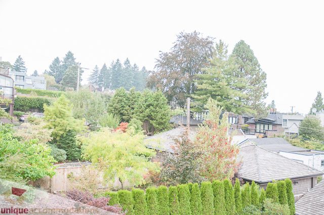 Spacious living room with a view of lush greenery and rooftops. - 4559 W. 3rd Ave, Vancouver West Side