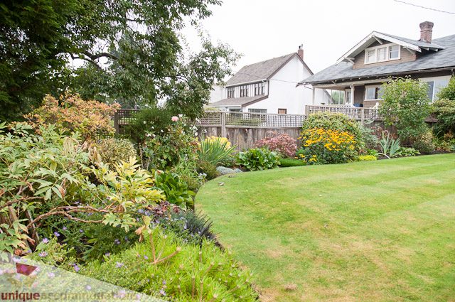 Furnished backyard with lush green lawn and vibrant flowers. - 4559 W. 3rd Ave, Vancouver West Side