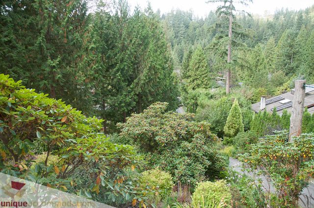 Furnished living room with a view of lush greenery and tall trees. - 1650 Riverside Drive, North Vancouver
