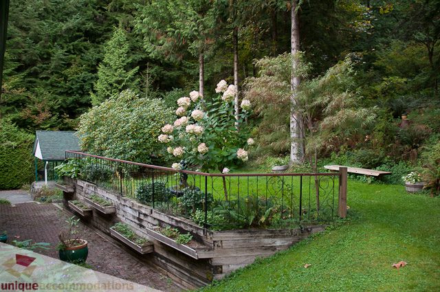 Furnished living room with cozy seating and lush garden view. - 1650 Riverside Drive, North Vancouver