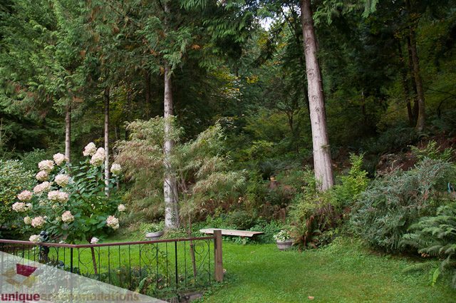 Furnished 3-bedroom suite with lush greenery and forest views. - 1650 Riverside Drive, North Vancouver