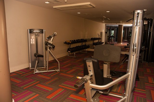Fitness room with cardio equipment and weight racks. - 501-150 Athletes Way, Vancouver West Side