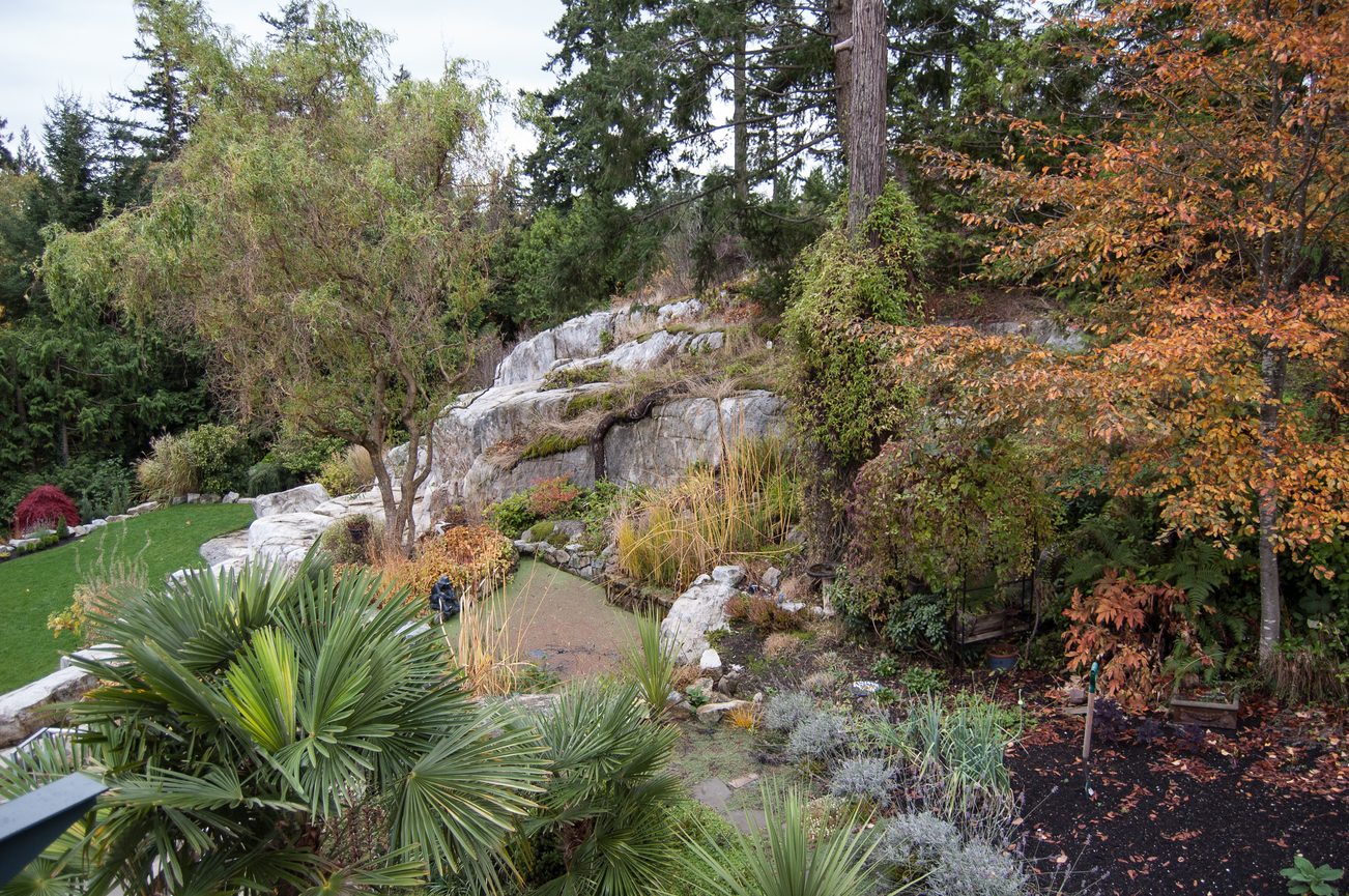Bright garden with rock formations and autumn foliage. - 4454 Regency Place, West Vancouver