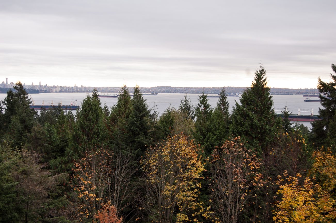 Bright living room with stunning city view and lush tree canopy. - 4454 Regency Place, West Vancouver