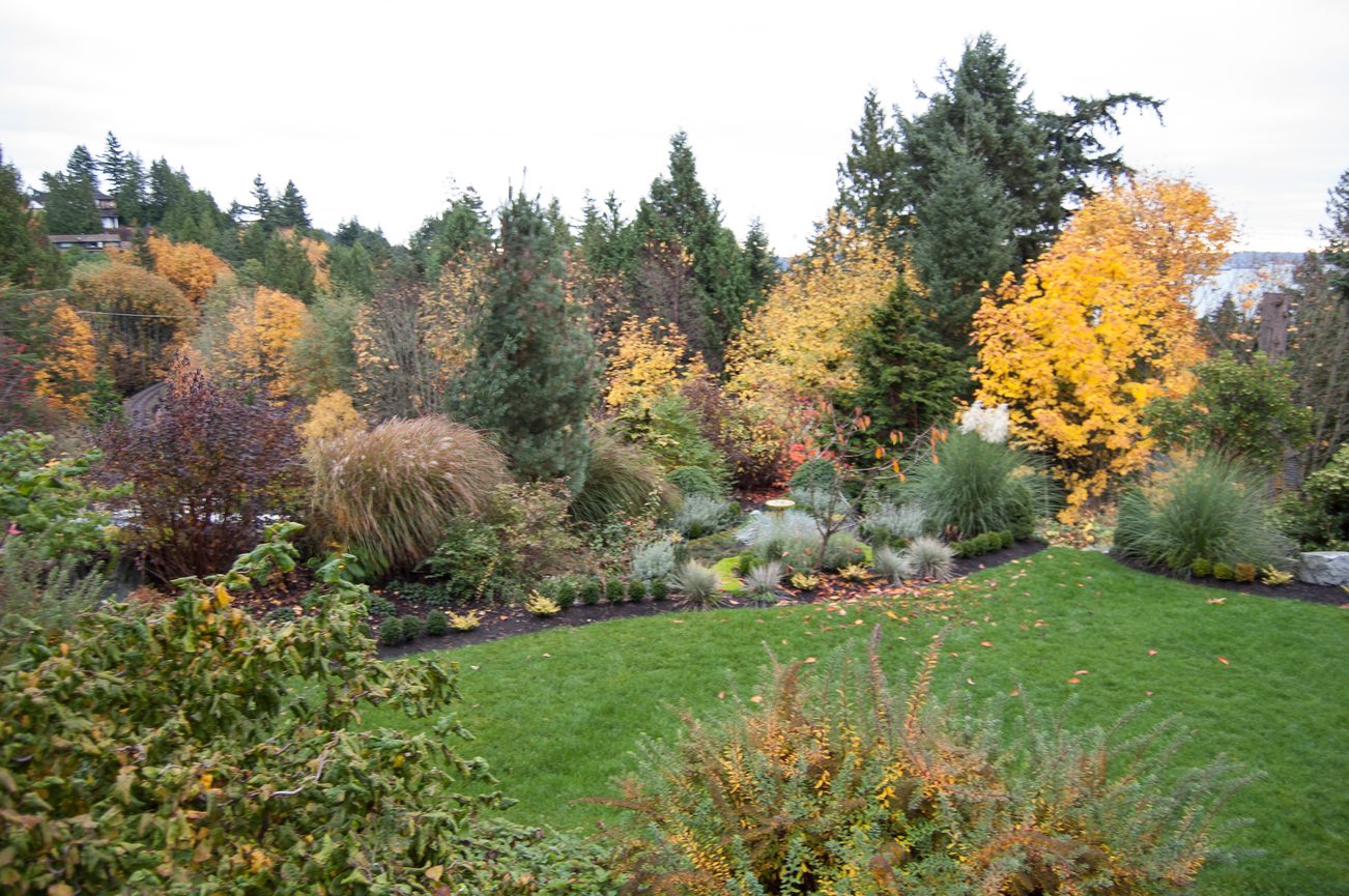 Spacious backyard garden with fall foliage and neatly trimmed grass. - 4454 Regency Place, West Vancouver