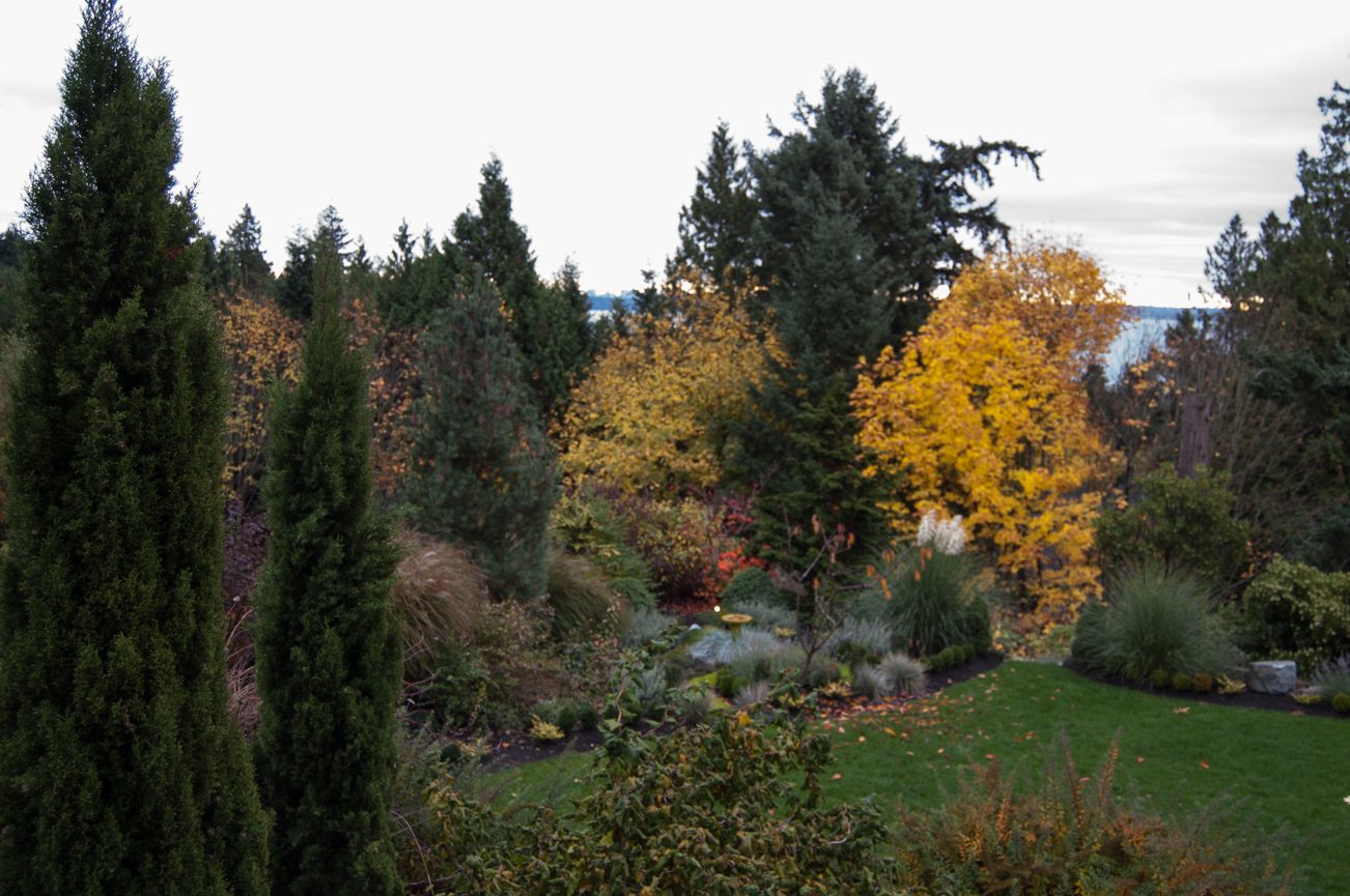 Spacious backyard with vibrant fall foliage and a serene view. - 4454 Regency Place, West Vancouver