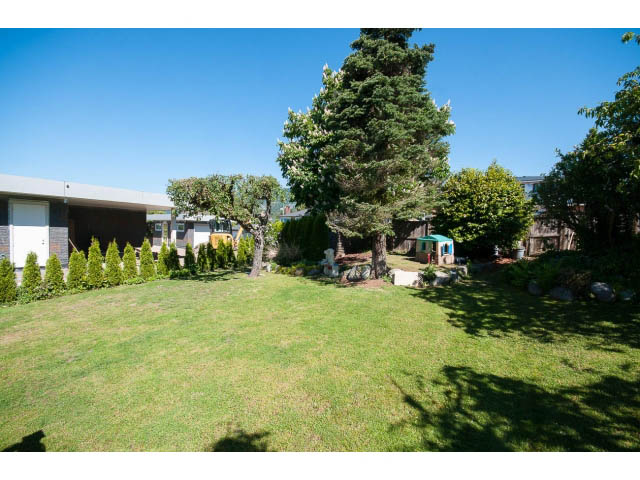 Spacious backyard with lush green lawn, tall trees, and a playhouse. - 1155 Fulton Ave, West Vancouver