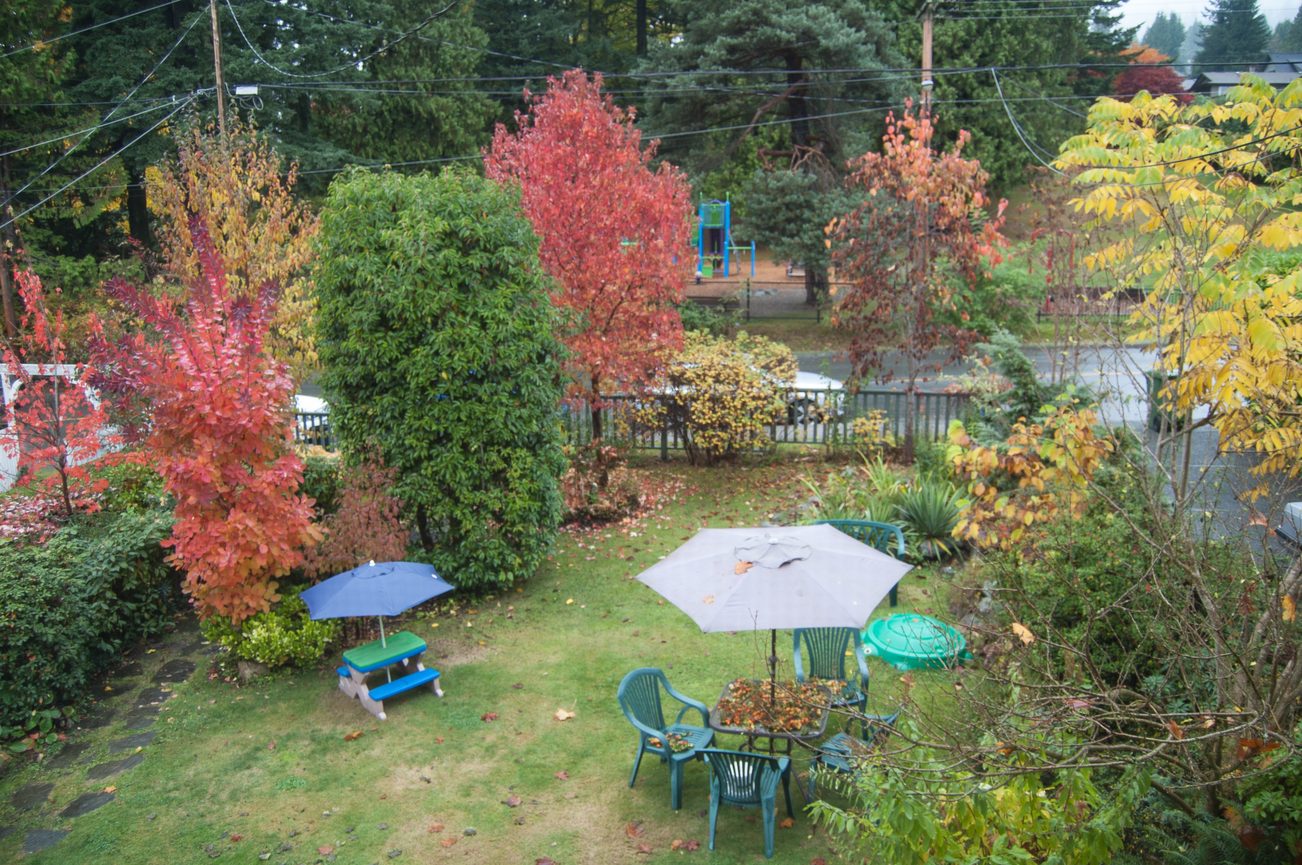 Furnished patio with colorful autumn foliage and outdoor seating. - 139 Osbourne Rd. East, North Vancouver
