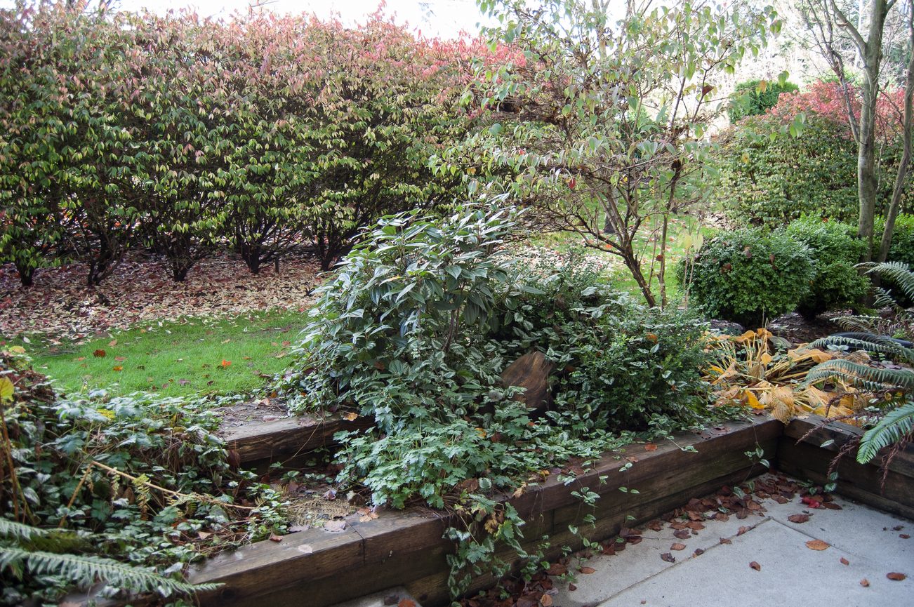 Furnished 1-bedroom patio with wooden planter and lush greenery. - 232 - 3629 Deercrest Dr, North Vancouver