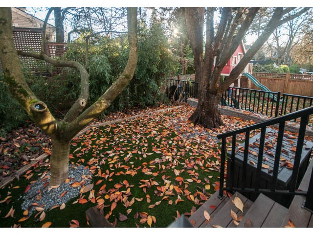 Furnished patio with autumn leaves and wooden deck, surrounded by trees. - 14 West 13th Ave, Vancouver East Side