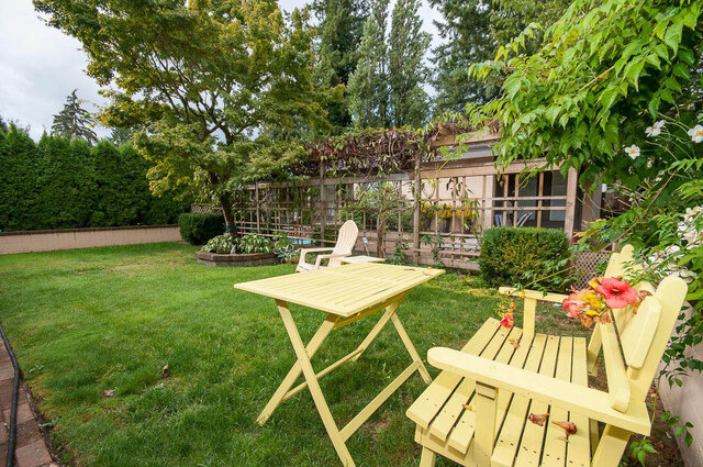 Spacious backyard with a yellow picnic table and Adirondack chairs, surrounded by lush greenery and a wooden pergola.
