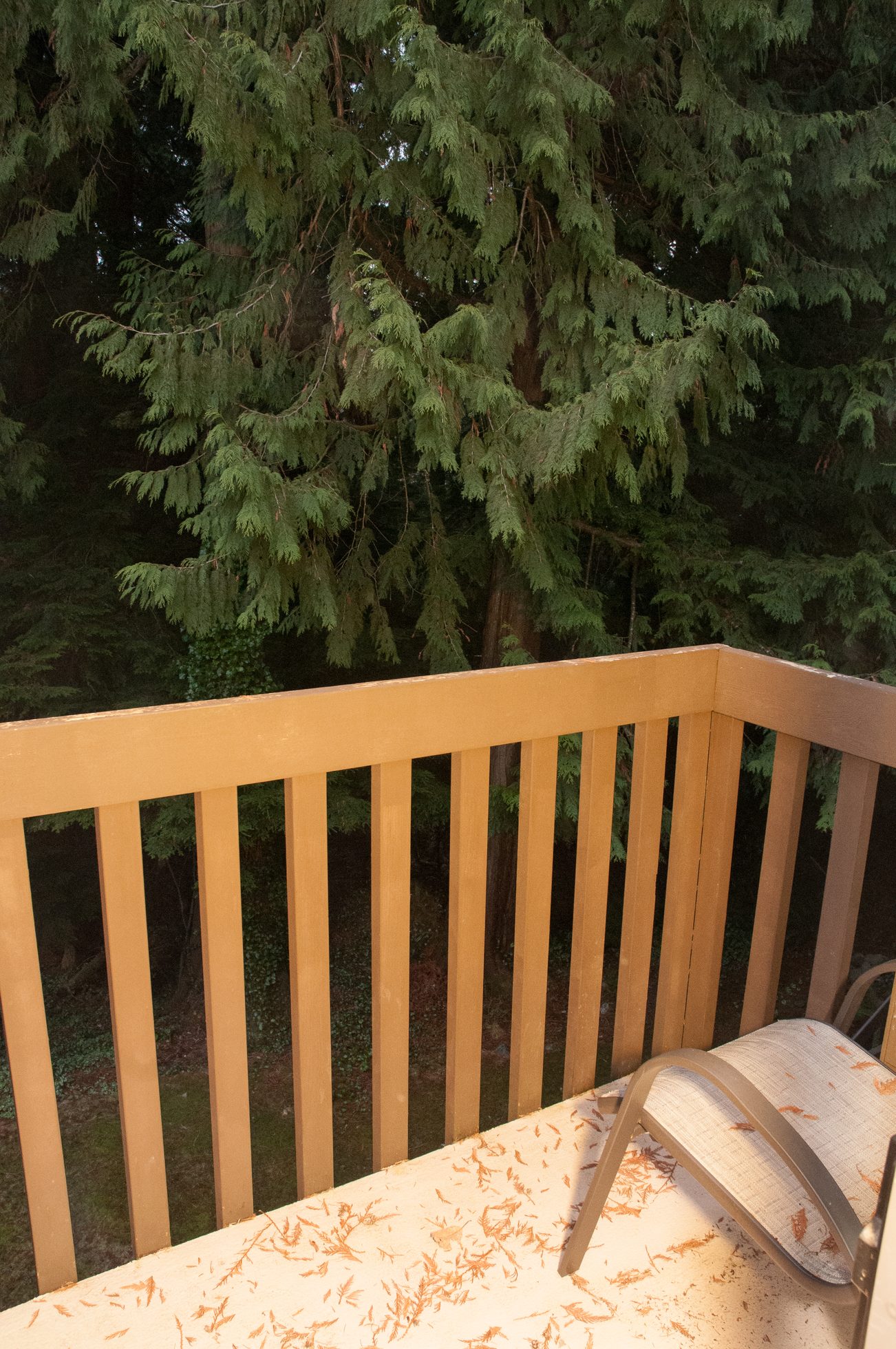 Furnished balcony with wooden railing and tree view. - 5550 Huckleberry Lane, North Vancouver