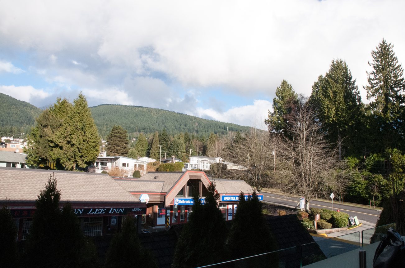 Furnished 1-bedroom + den with mountain view and evergreen trees. - 306-650 Evergreen Place, North Vancouver
