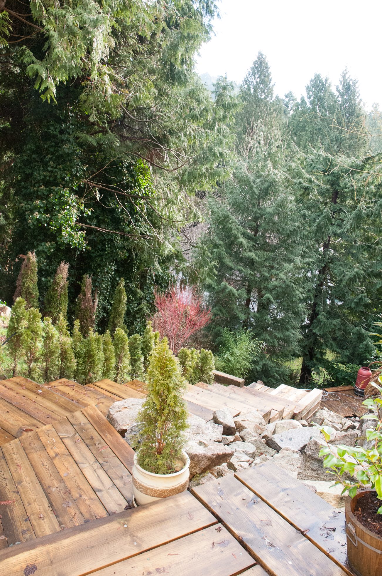 Furnished deck with wooden planks and potted plants, surrounded by lush greenery. - 5646 Westport Rd, West Vancouver