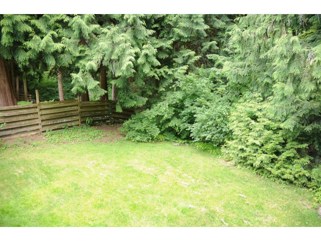 Spacious backyard with lush greenery and wooden fence. - Suite-942 Belvedere Drive, North Vancouver