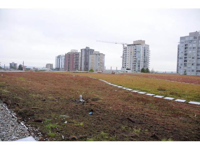 Furnished 1-bedroom + den with green roof and city view. - 310 - 135 East 17th Street, North Vancouver