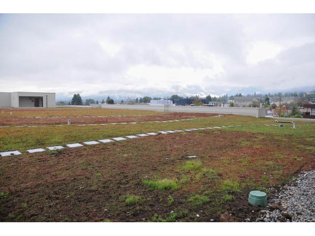 Furnished rooftop garden with grass and soil, mountain view in background. - 310 - 135 East 17th Street, North Vancouver