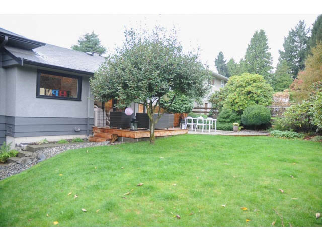 Spacious backyard with lush green lawn and mature trees. - 1362 East 20th St, North Vancouver
