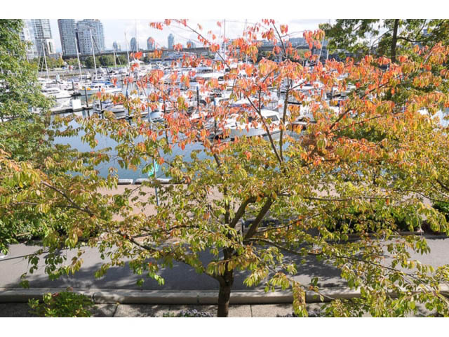 Bright living room with city view and marina boats, framed by autumn foliage. - 121 -1228 Marinaside Crescent, Vancouver Downtown