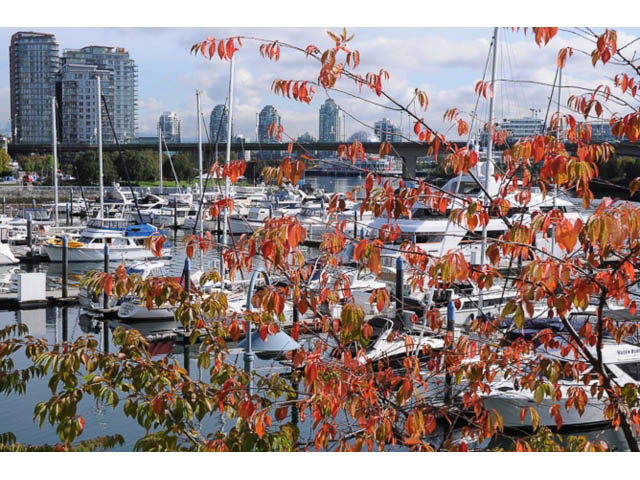 Furnished 3-bedroom + den townhouse with a stunning marina view and city skyline in the background.