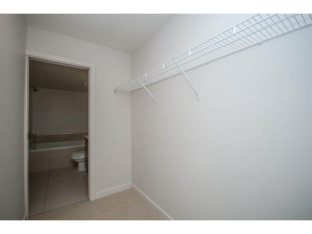rental accommodations