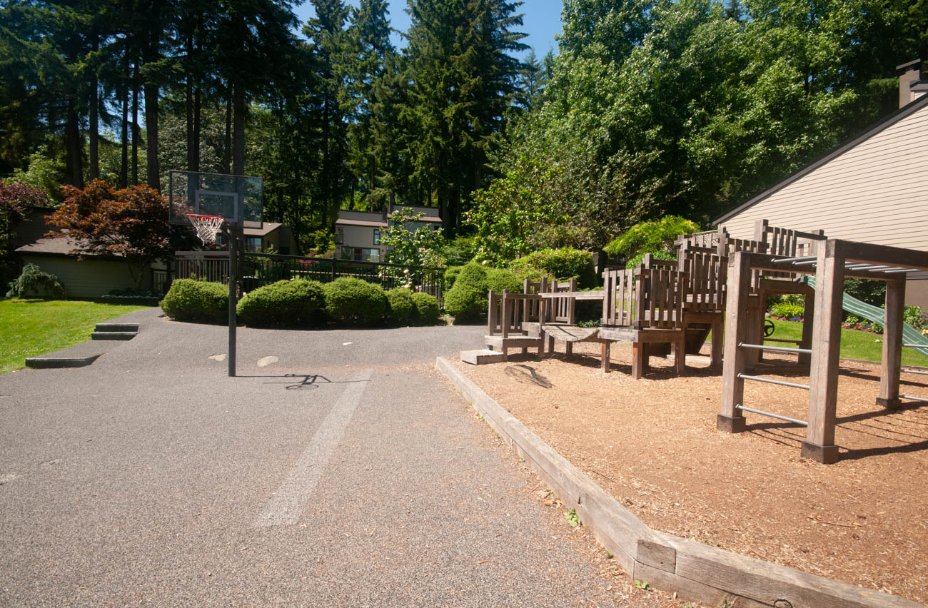 Playful outdoor space with a basketball hoop and wooden play structure, perfect for family fun. - 1059 Heritage Blvd, North Vancouver