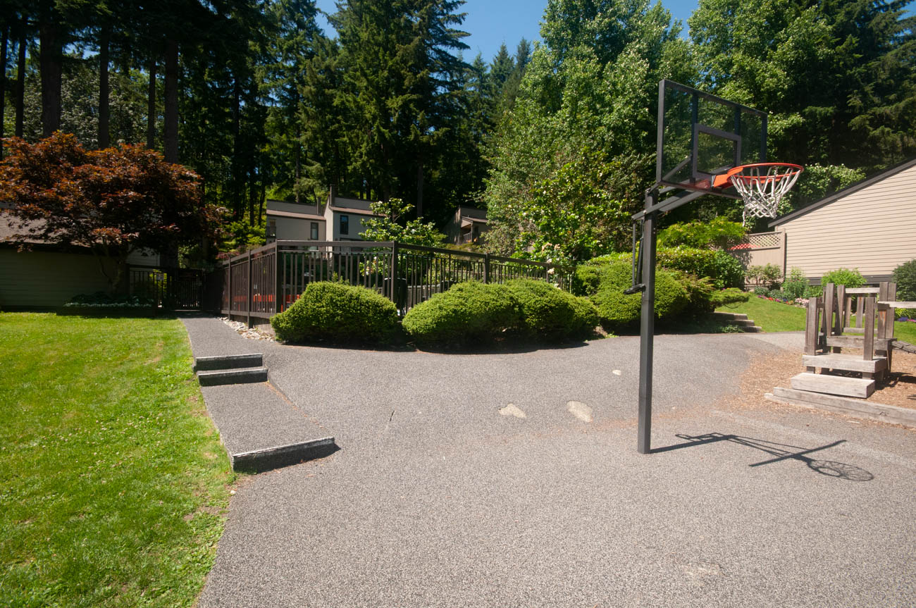 Spacious backyard with a basketball hoop and lush greenery, perfect for outdoor activities. - 1059 Heritage Blvd, North Vancouver