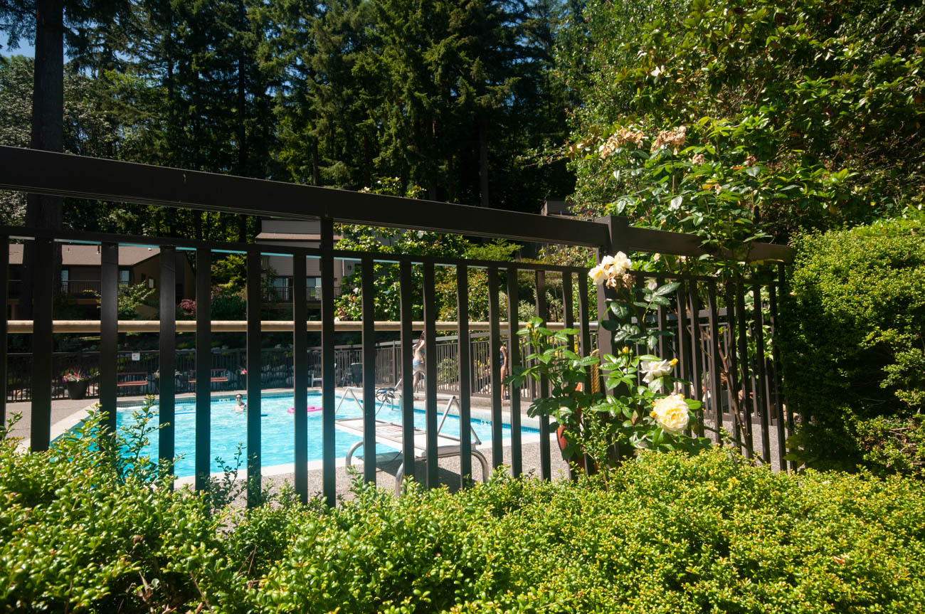 Spacious patio with a serene pool and lush greenery, perfect for relaxation. - 1059 Heritage Blvd, North Vancouver