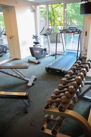 The building's gym with a treadmill, a bike, dumbbells and a bench by windows onto the trees - 15B-199 Drake Street, Vancouver Downtown