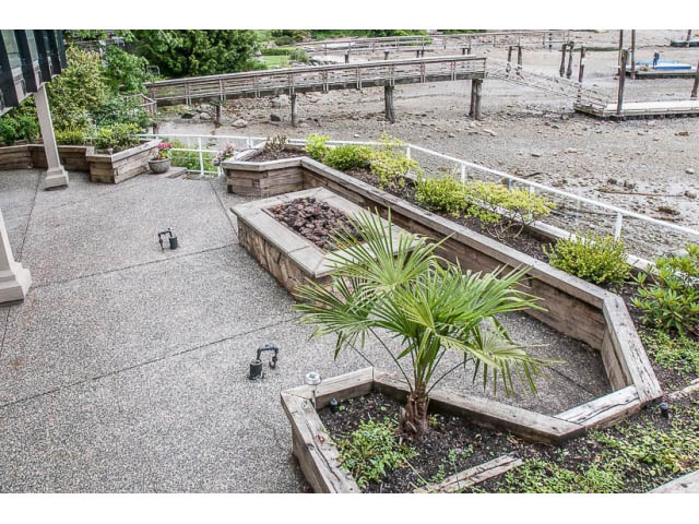Furnished patio with raised garden beds and palm trees. - 4541 Strathcona Road, North Vancouver