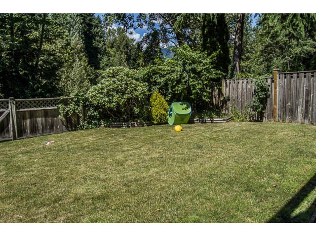 Fenced backyard with lush greenery and grassy lawn. - 2039 McLallen Court, North Vancouver