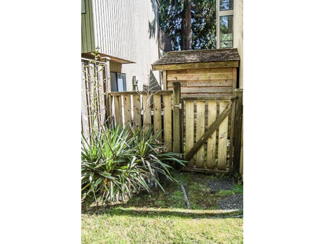 Fenced backyard with wooden shed and plants. - 2039 McLallen Court, North Vancouver