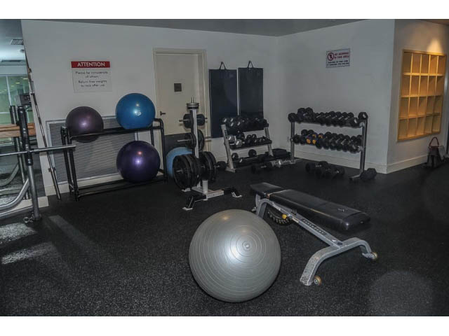 Furnished gym with exercise balls, dumbbells, and weight bench. - 138 Dunsmuir Street, Vancouver Downtown