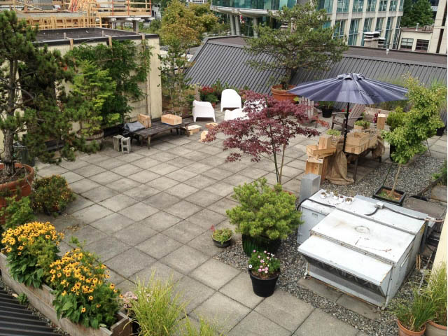 Furnished rooftop patio with potted plants, outdoor furniture, and city views. - 5-4 - 550 Beatty Street, Vancouver Downtown