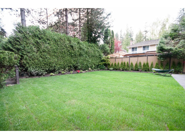 backyard family house for rent