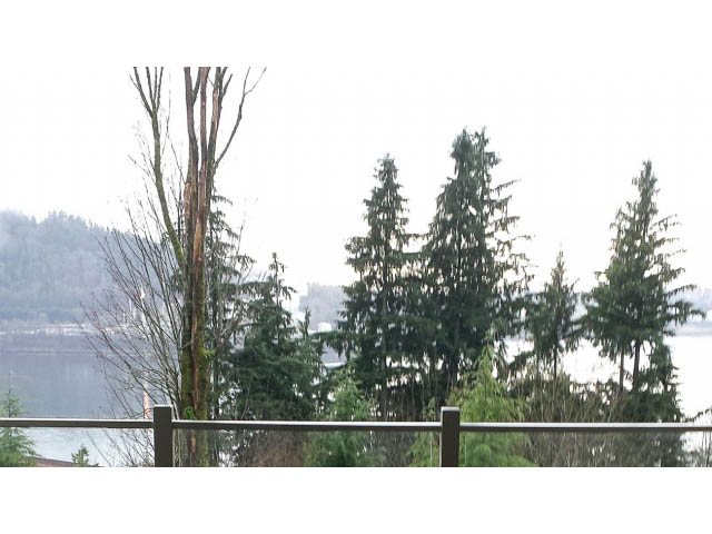 Balcony view of evergreen trees and distant water, serene natural setting. - 411 - 560 Ravenwoods Dr., North Vancouver