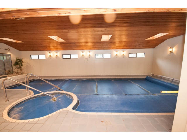 Shared house interior with wooden ceiling, large windows, and a spacious swimming pool area. - Main - 4149 Osler St, Vancouver West Side