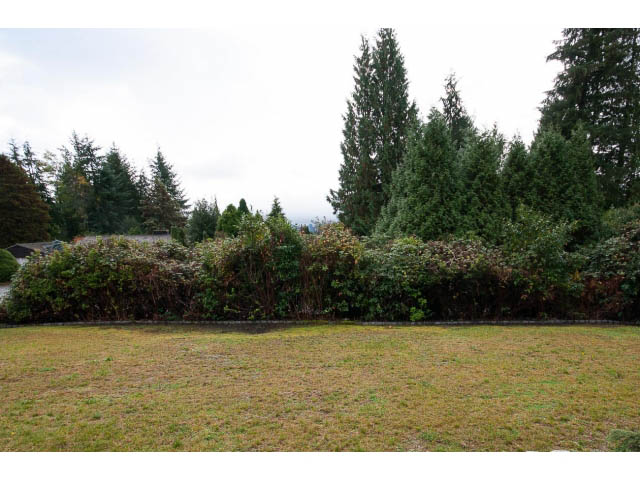 Lush garden with mature trees and neatly trimmed hedges, perfect for relaxation. - 555 Stevens Dr, West Vancouver