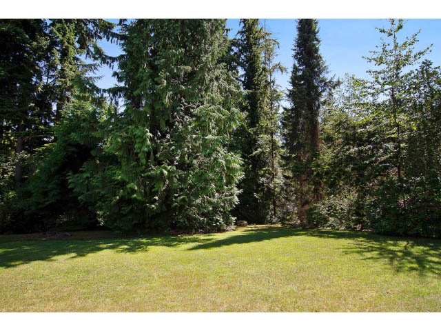 Lush green lawn with tall evergreen trees, serene backyard setting. - 610 Newdale Rd., West Vancouver