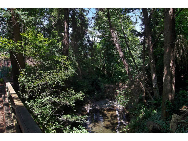 Furnished 6-bedroom + den house with a serene forest view and a wooden bridge over a stream. - 610 Newdale Rd., West Vancouver