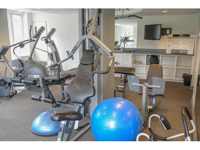 Bright gym with exercise equipment and blue stability ball. - 901 - 1690 West 8th Ave, Vancouver West Side