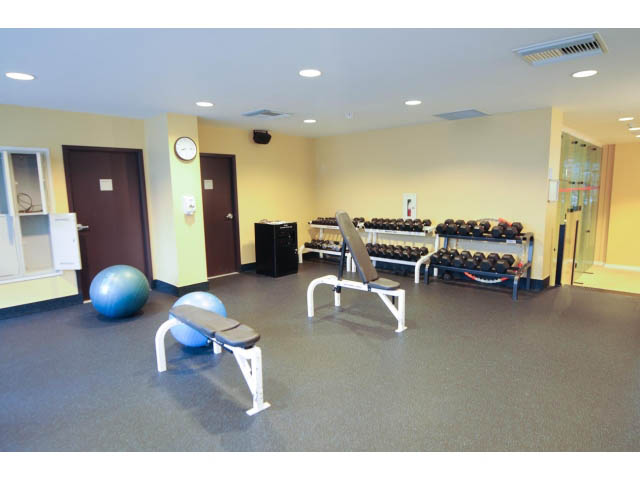 Furnished gym with weight machines and exercise balls. - 2006 - 583 Beach Crescent, Vancouver Downtown