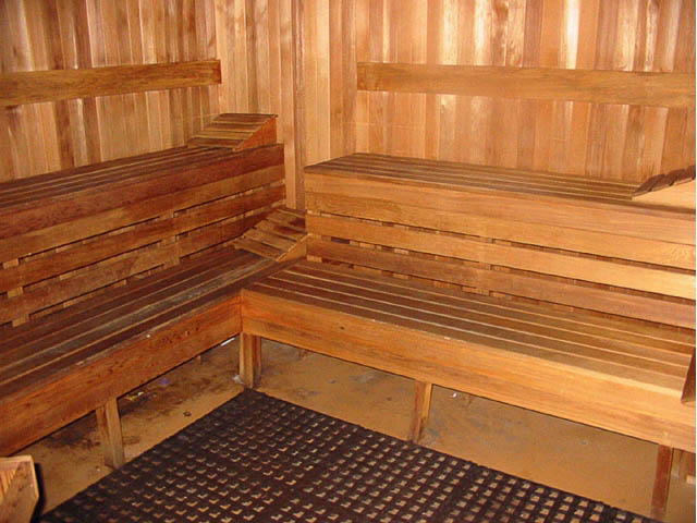 Spacious sauna with wooden benches and textured floor mat. - 1502 - 907 Beach Ave, Vancouver Downtown