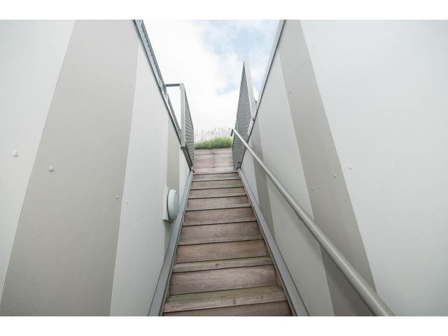 Staircase leading to rooftop garden with modern design. - 3187 St. George St., Vancouver East Side