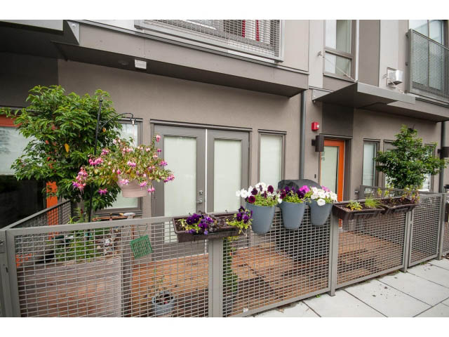 Furnished patio with potted plants and a metal fence. - 3187 St. George St., Vancouver East Side
