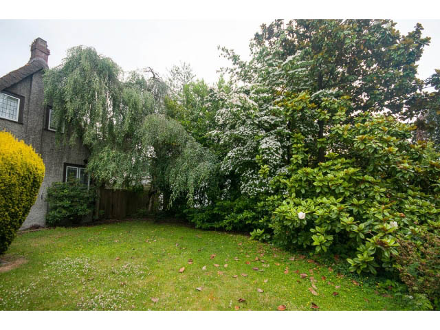 Spacious backyard with lush greenery and mature trees. - 5756 Angus Drive, Vancouver West Side