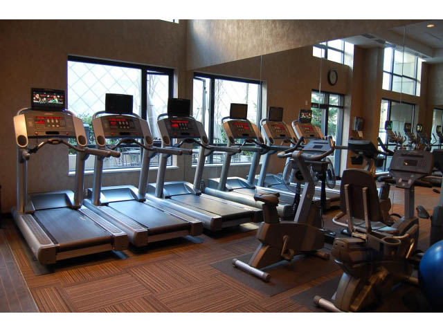 Bright and spacious fitness room with treadmills, ellipticals, and cardio machines; hardwood floors and large windows.