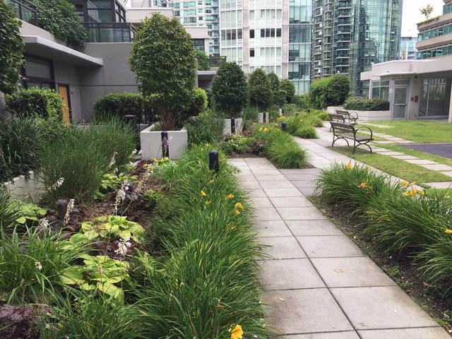 unfurnished coal harbour vancouver