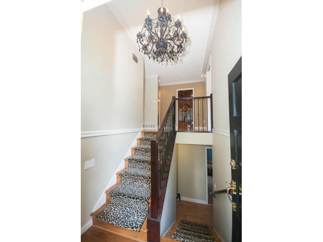 Staircase with leopard print runner, chandelier, wooden floors. - Upper - 1998 Cortell St., North Vancouver